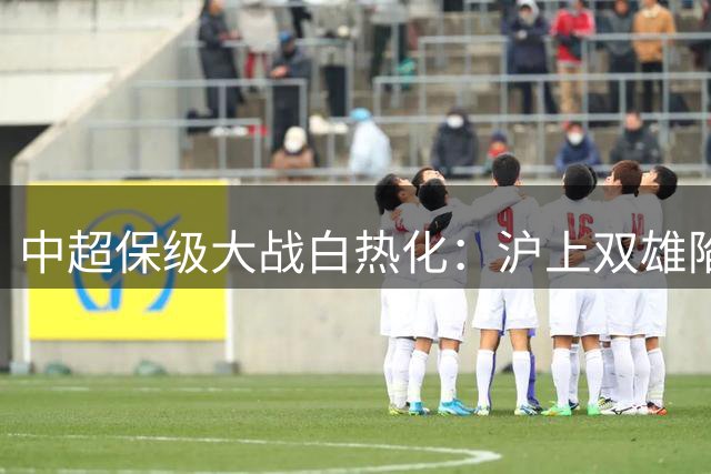 中超保级大战白热化：沪上双雄陷困境 足协杯赛程仅剩国安未定