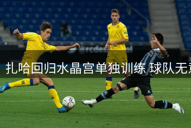 扎哈回归水晶宫单独训练 球队无意重新签约