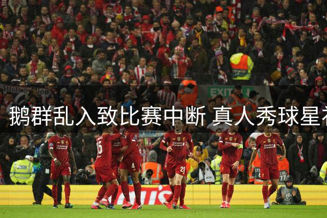 鹅群乱入致比赛中断 真人秀球星补时染红引热议